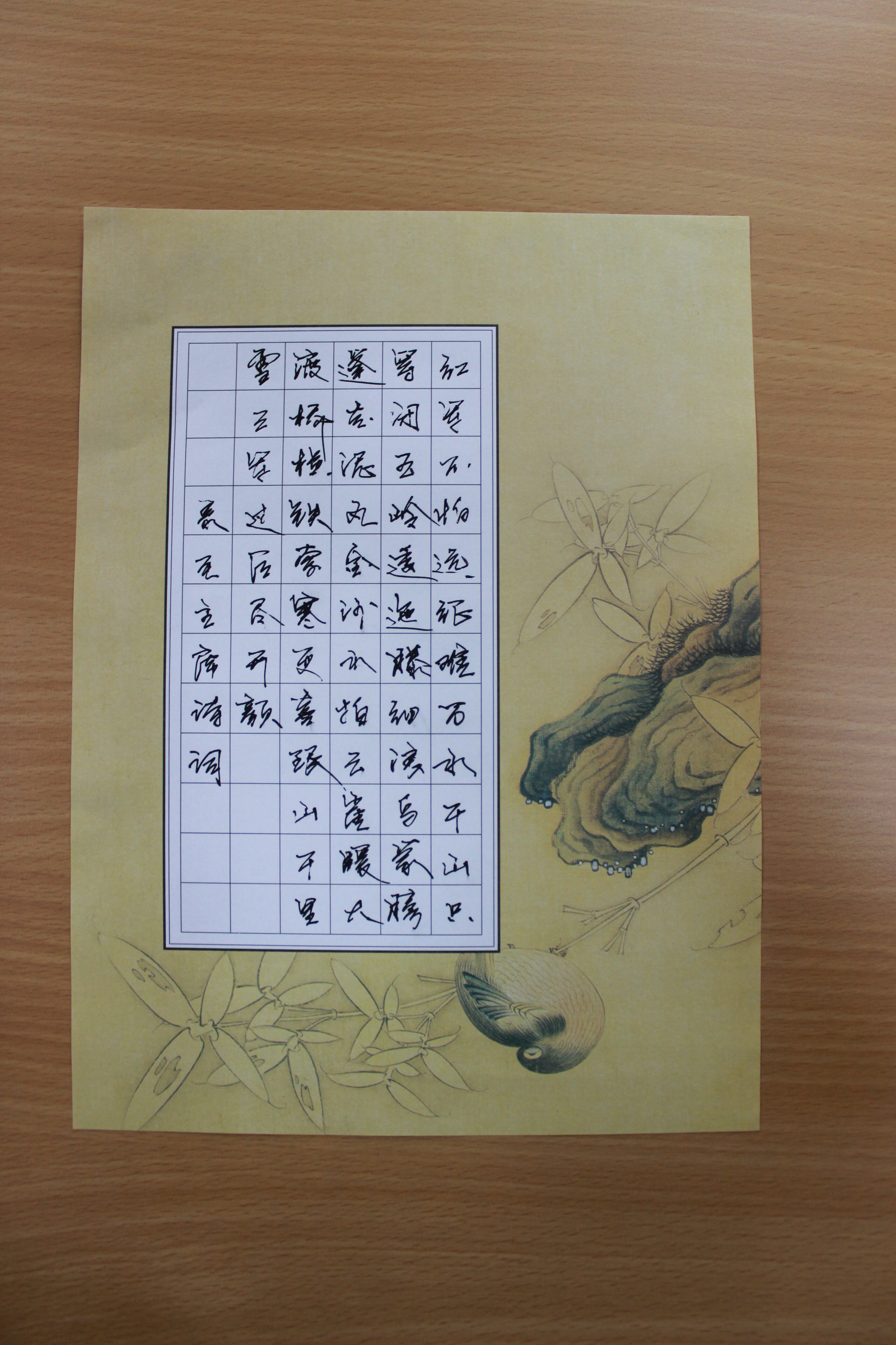 预览